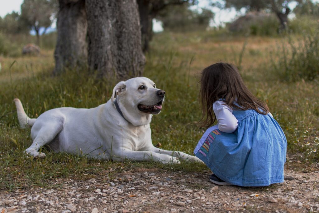 伏せしている犬と少女