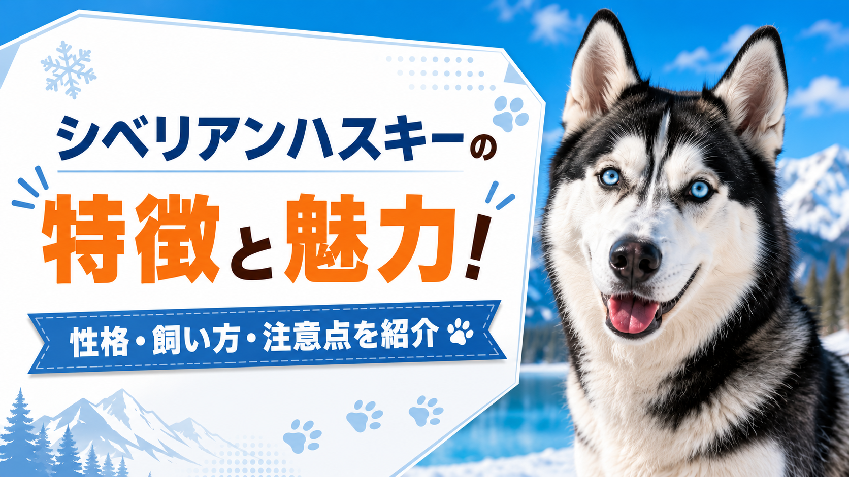 シベリアンハスキーの顔