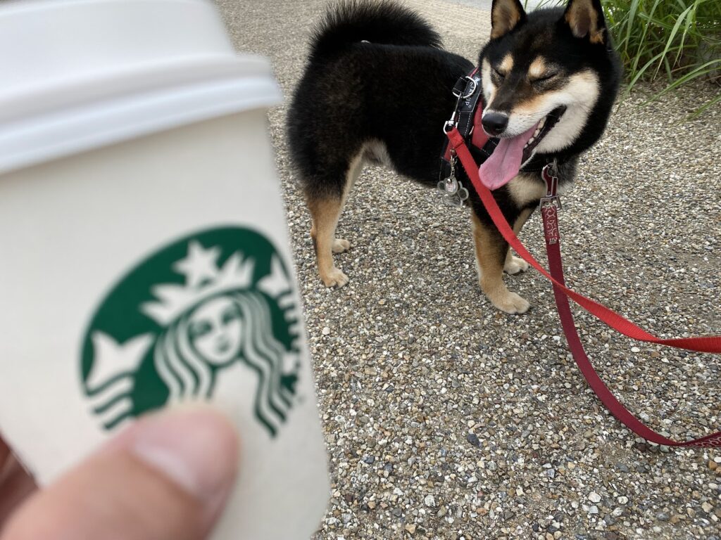 愛犬とコーヒー