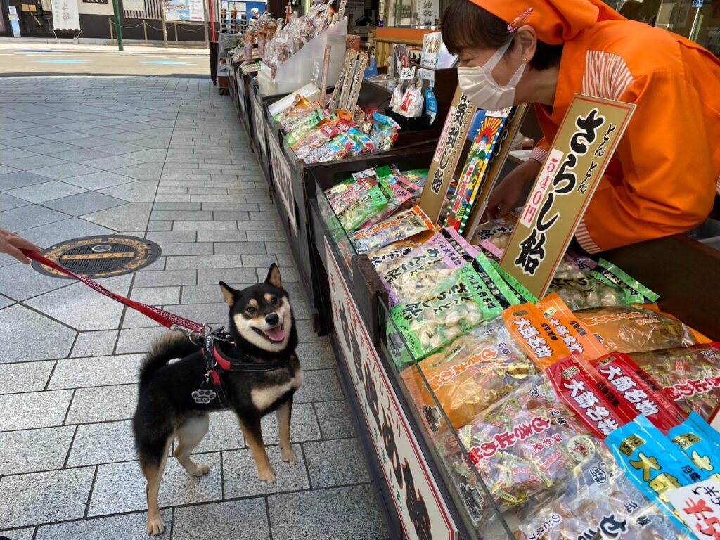 飴屋さんと犬