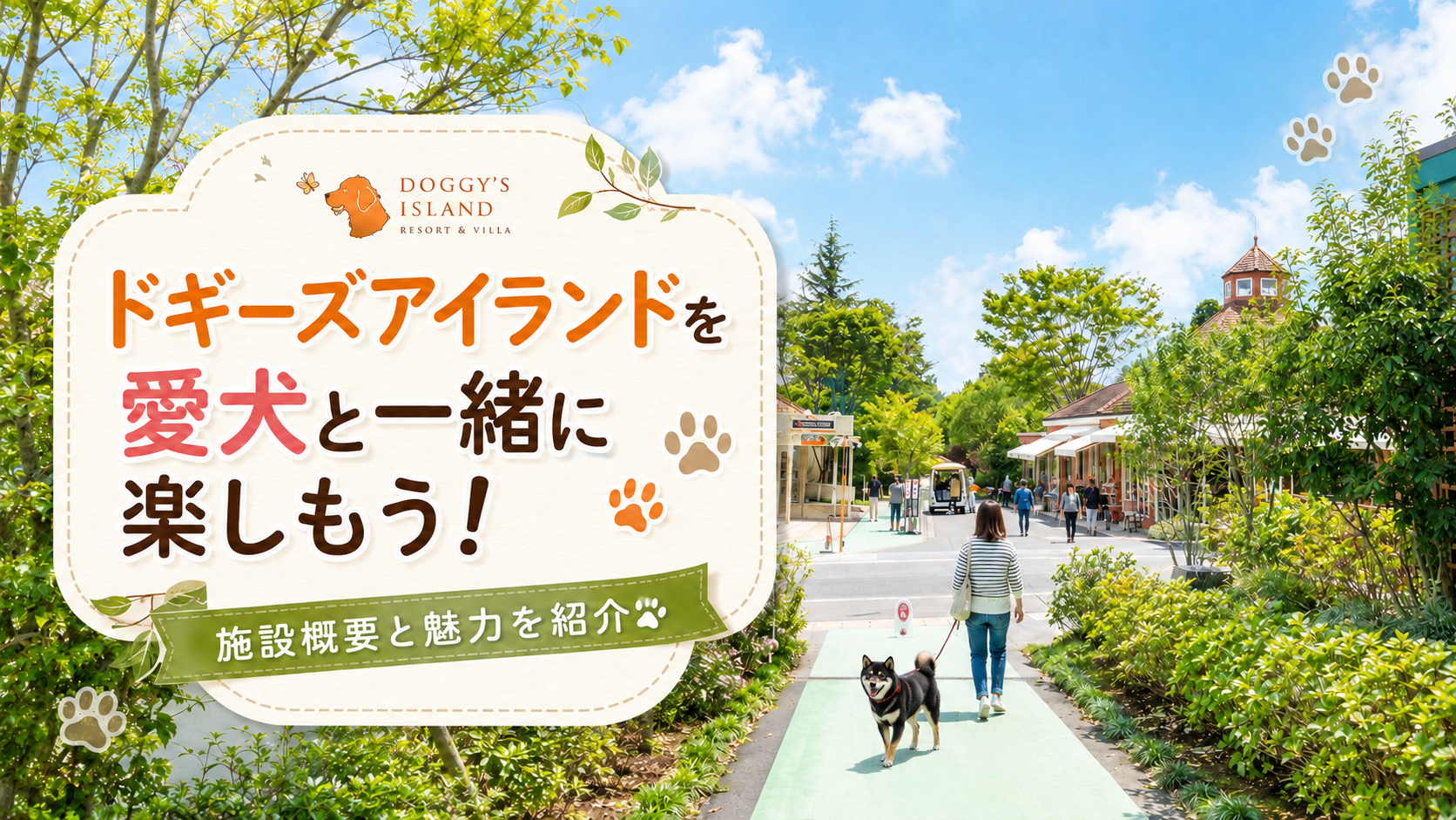 ドギーズアイランド入口