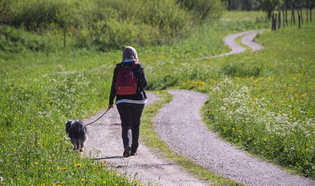 道を歩く女性と犬