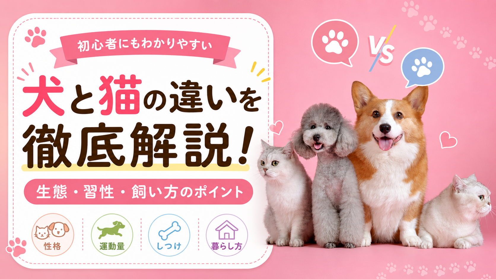 犬と猫の違いを解説