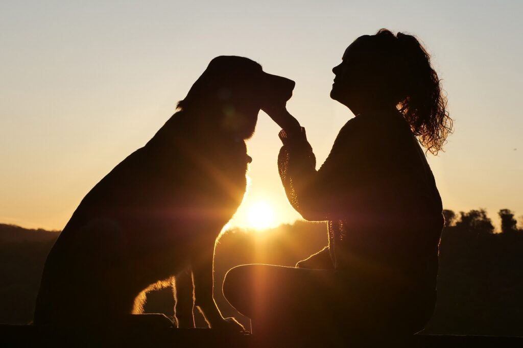 人と犬のシルエット