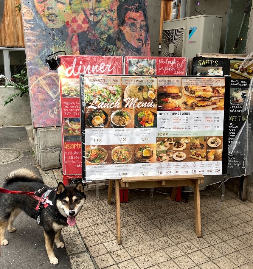 カフェ前での黒柴