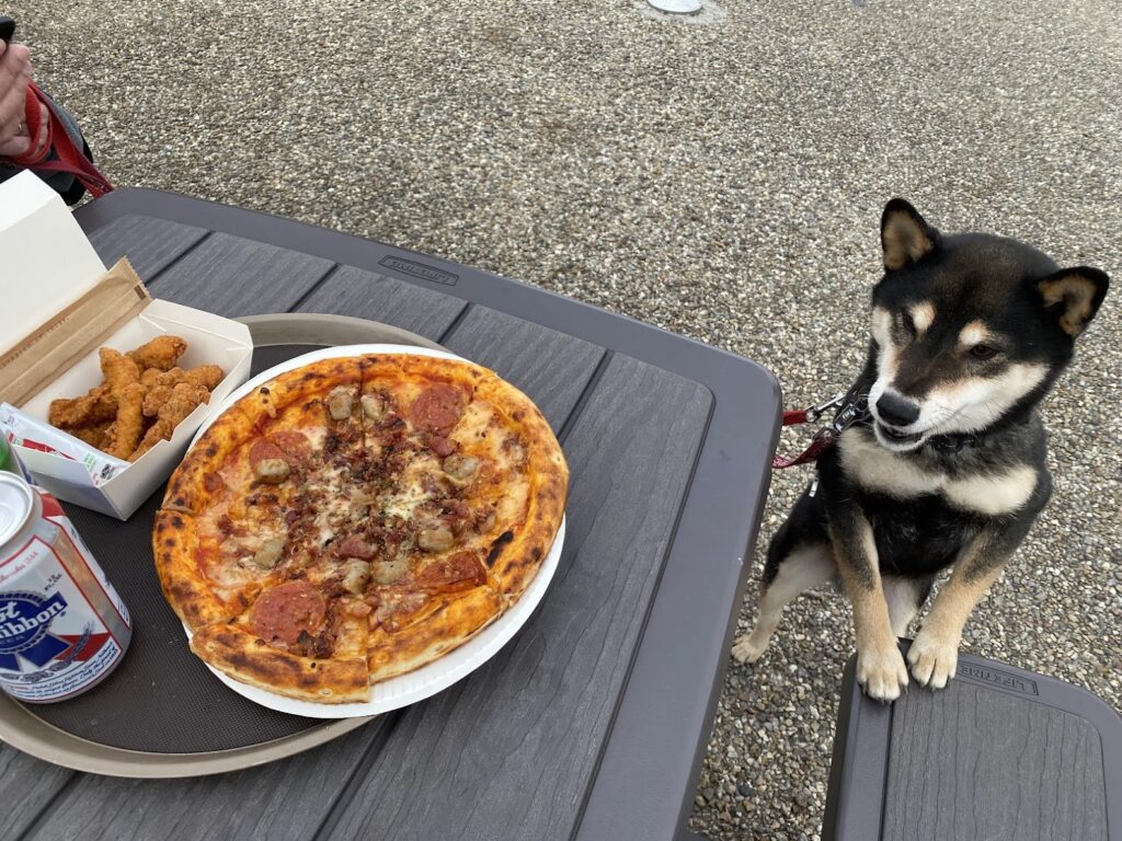 ピザと犬