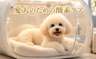 愛犬のための酸素ケア