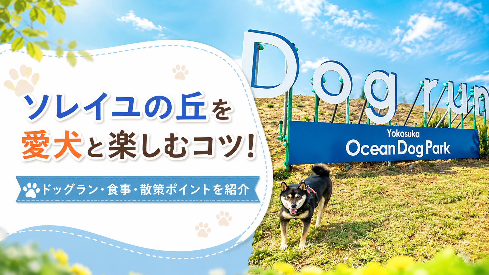 ソレイユの丘