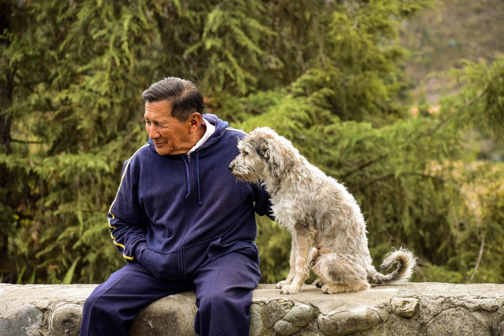 老人と犬