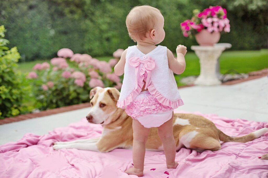 犬と赤ちゃん