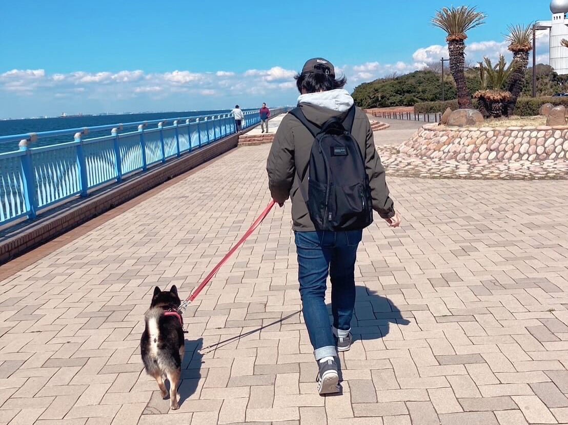 袖ヶ浦海浜公園を愛犬一緒にお散歩