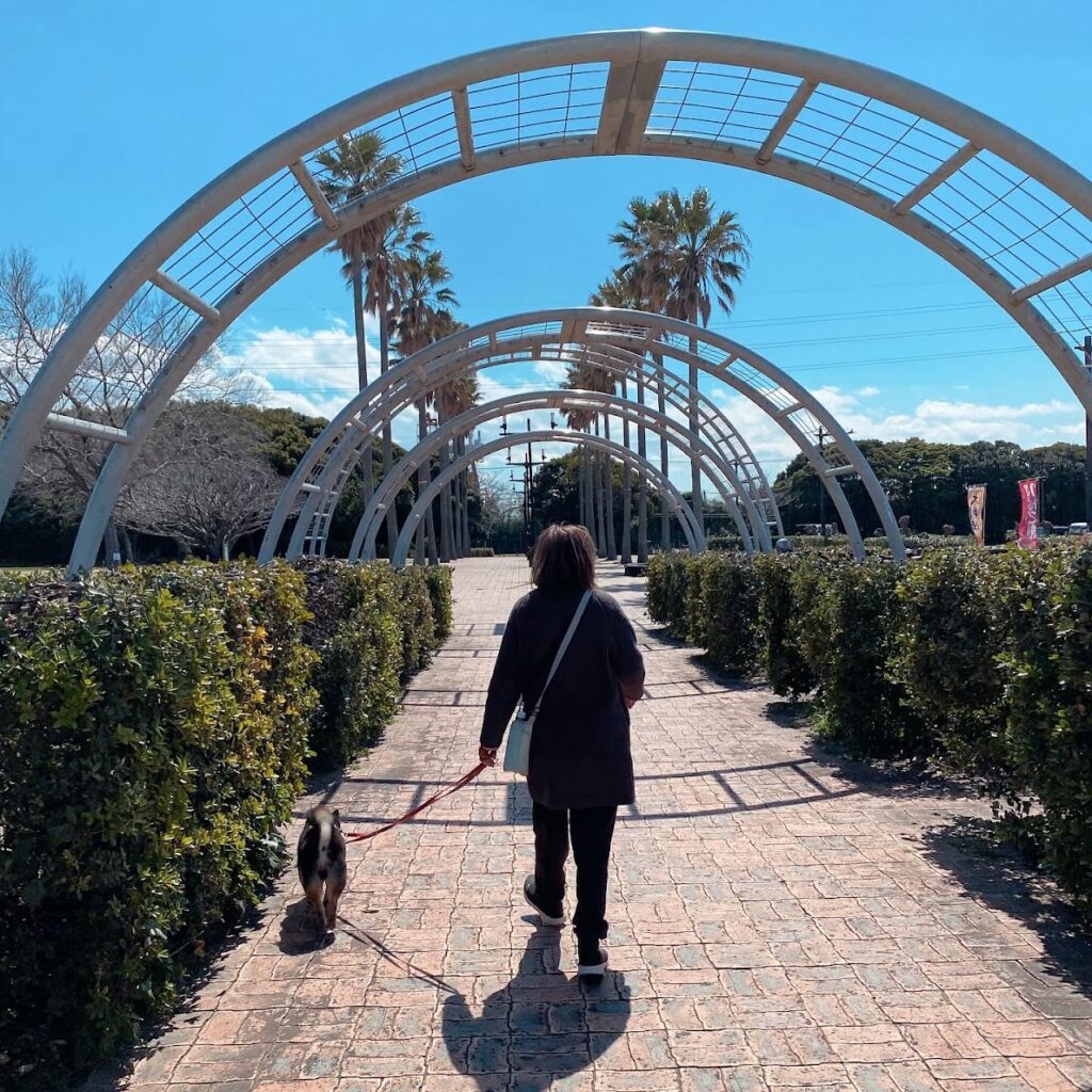 袖ヶ浦海浜公園を散歩する女性と犬