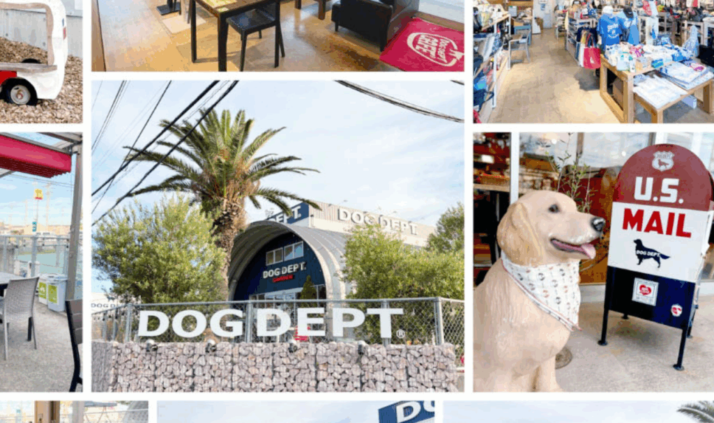 DOG DEPT GARDEN 木更津店