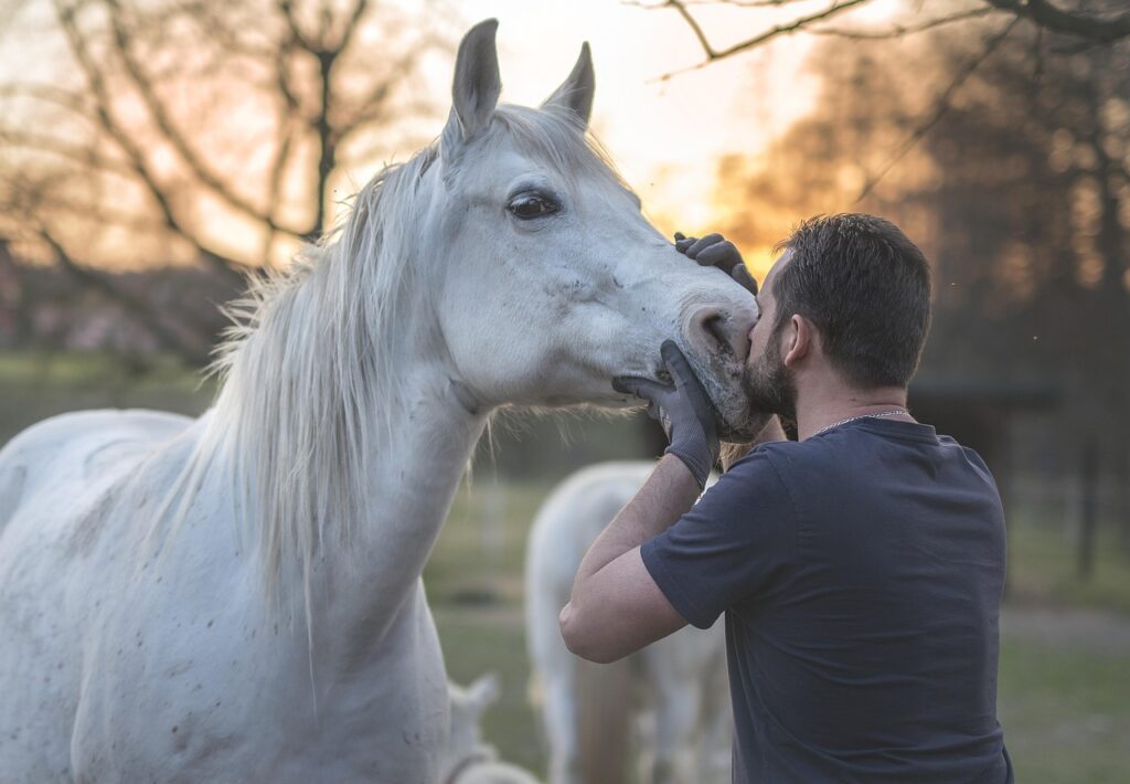 馬にキスする男性