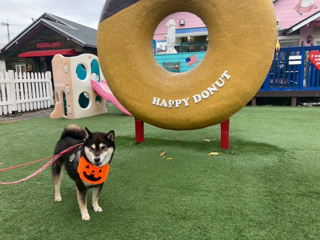 ハッピードーナツと愛犬