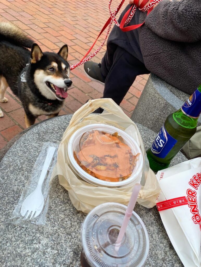 テイクアウトしたケバブ