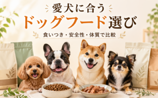 愛犬に合うドッグフード選び