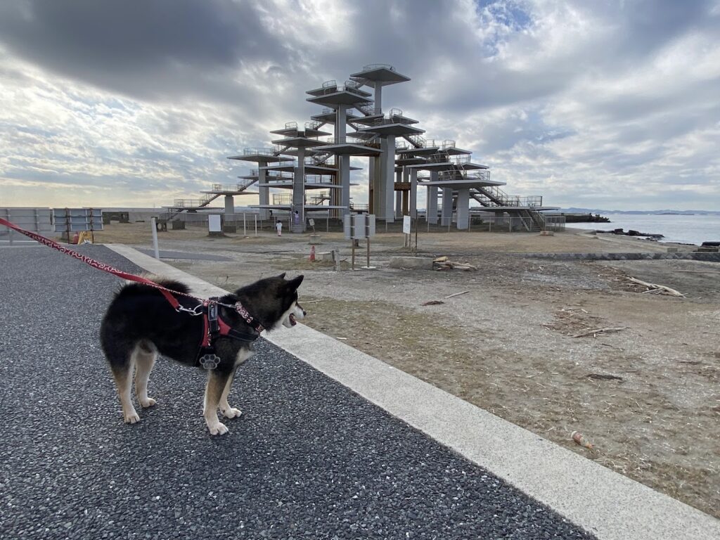 富津岬の展望塔と愛犬