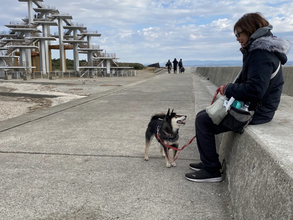 犬と女性