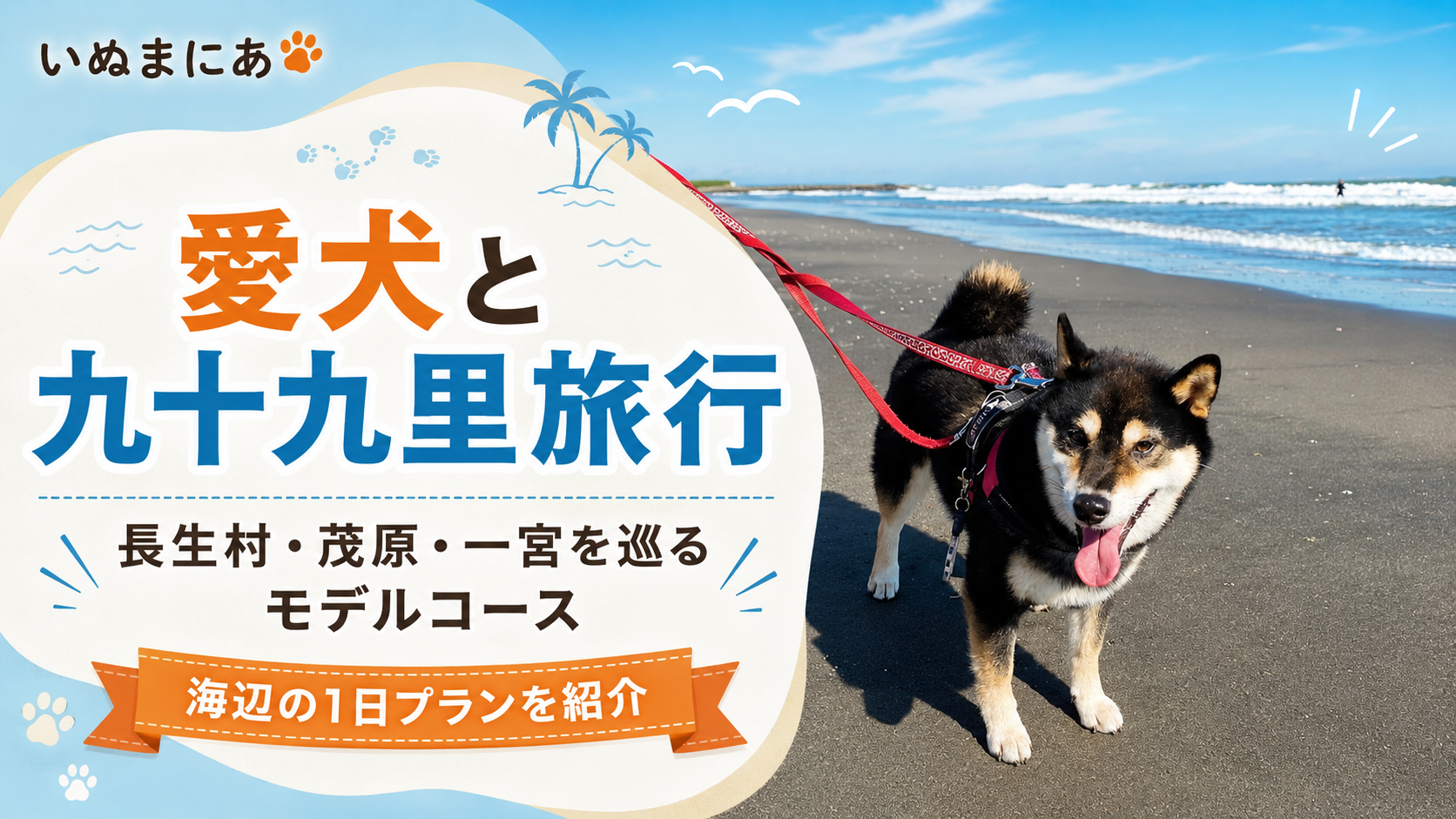 九十九里浜での愛犬