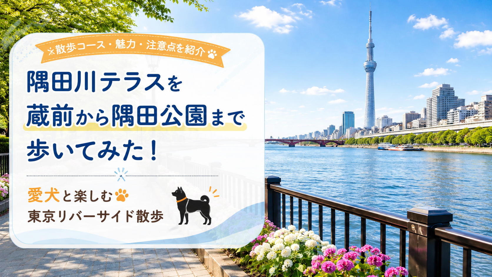 隅田川テラスのイメージ