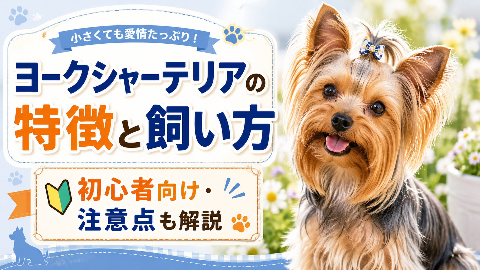 ヨークシャーテリア