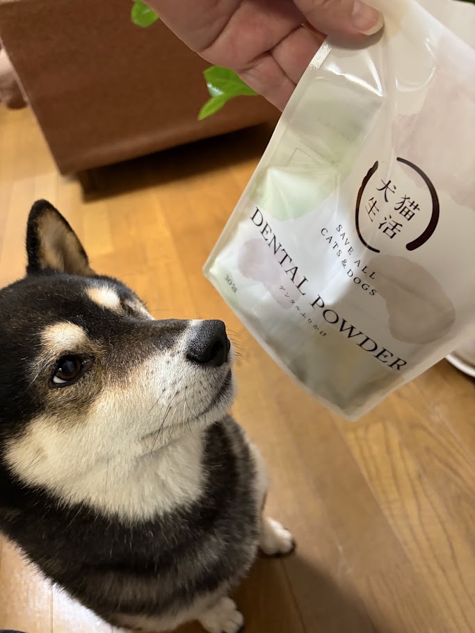 愛犬とデンタルふりかけ