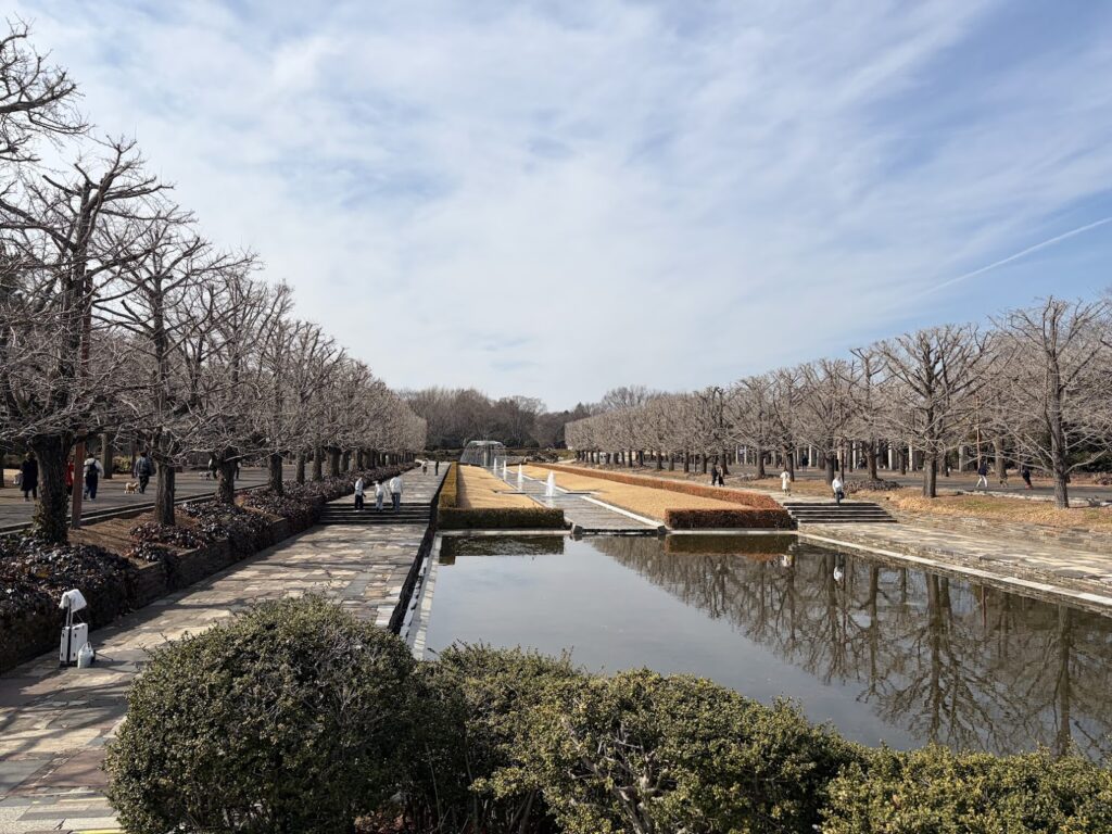 昭和記念公園の風景