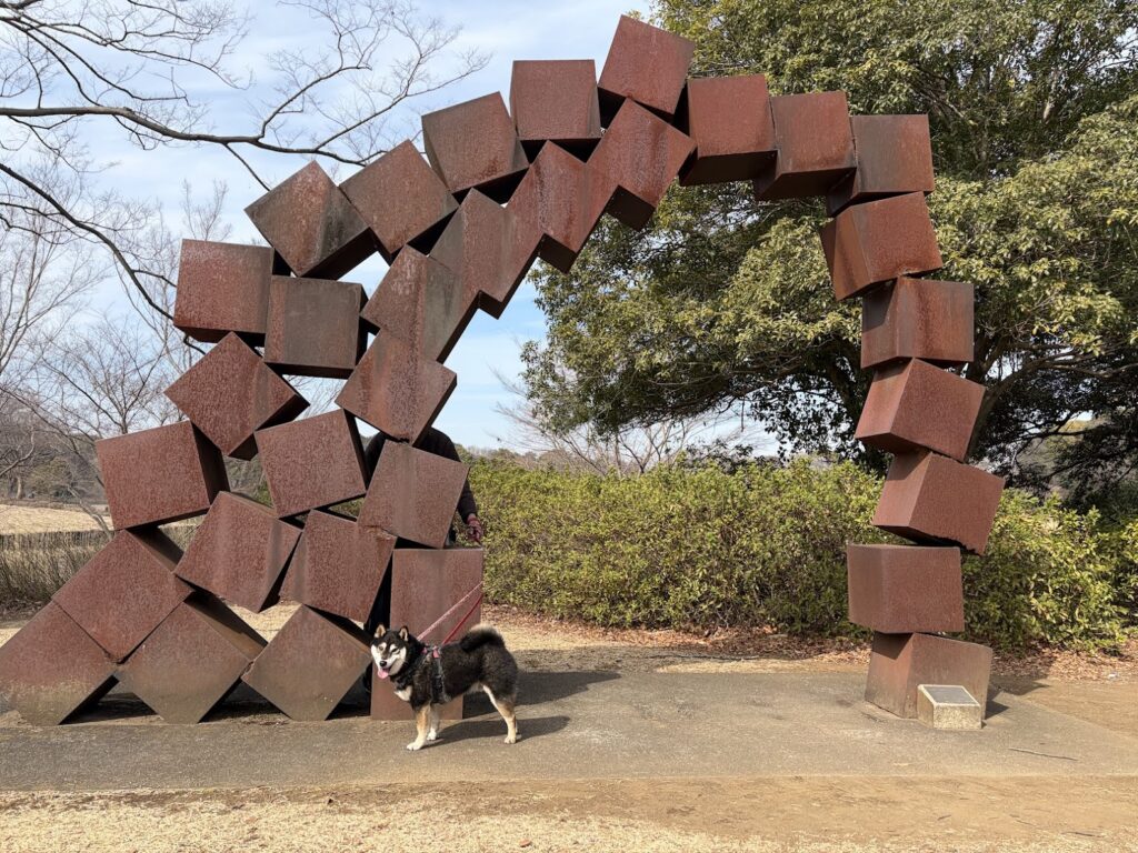オブジェと黒柴