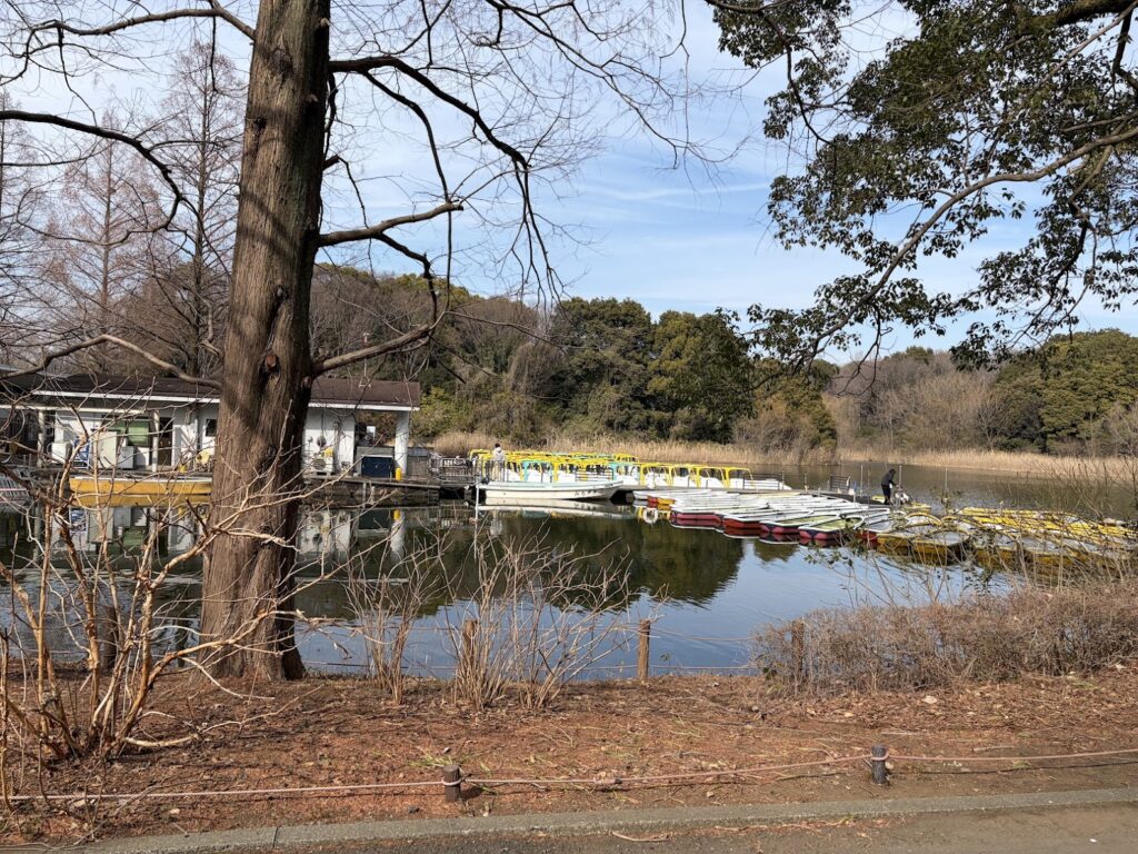 昭和記念公園の池