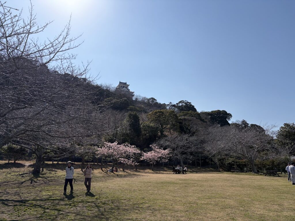 城山公園の広場