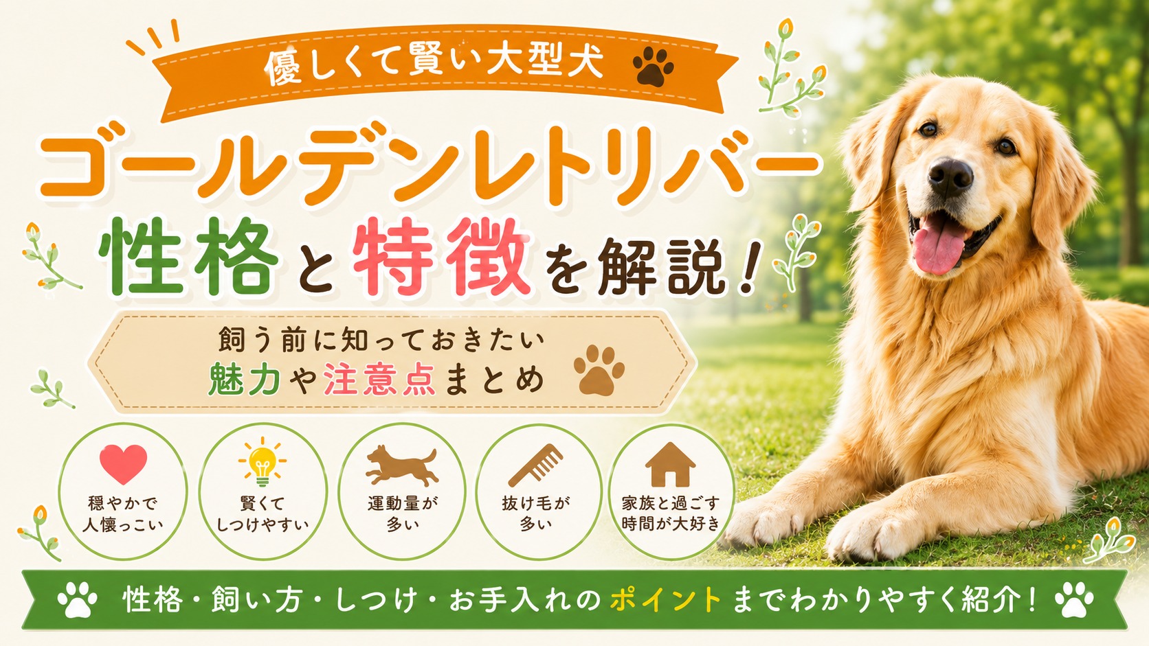 ゴールデンレトリバーの性格と特徴を解説｜優しく賢い大型犬？飼う前に知りたいポイント