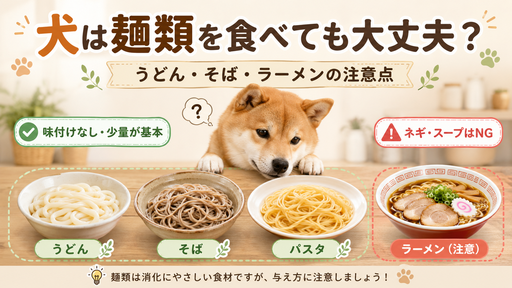 犬は麺類を食べても大丈夫？