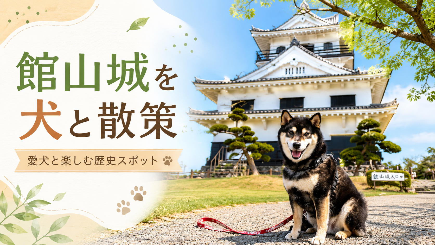 館山城は犬と散策できる？愛犬と楽しむ城山公園の見どころ・注意点を紹介