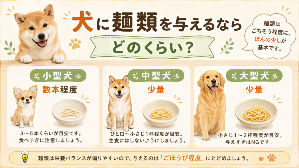 犬に麺類を与えるならどのくらい？